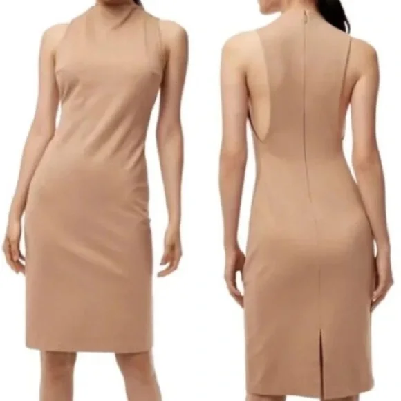 Aritzia Babaton Matheson Sleeveless Bodycon Dress 4 - Picture 2 of 10